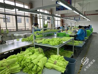 新春新氣象，赤壁服裝企業設計先行，全力沖刺“開門紅”