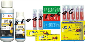 從細(xì)節(jié)入手 家居日用品如何提升生活品質(zhì)